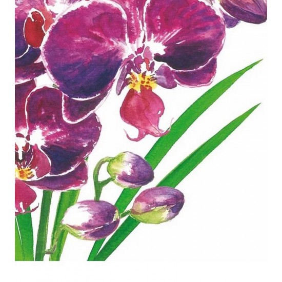 Pacote Com 20 Guardanapos De Papel 33x33cm Orchidea Napkin